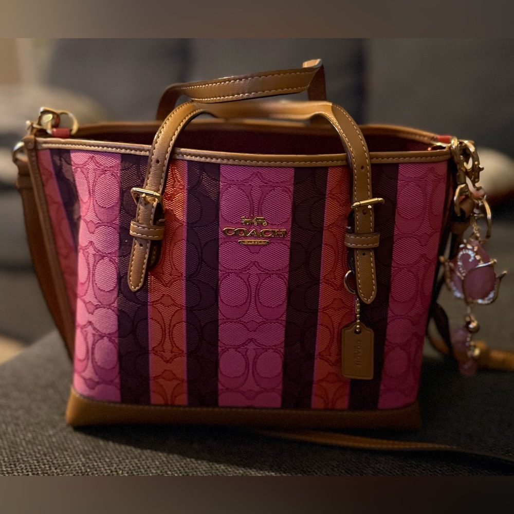 Coach Mollie Tote 25 in Signature Jacquard with Stripes (Model C4086